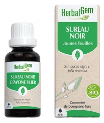 Herbalgem Sureau Noir Bio Mac&eacute;rats-M&egrave;res de Gemmoth&eacute;rapie Concentr&eacute;e 30 ml