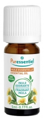 Puressentiel Huile Essentielle Inule Odorante Bio 5 ml