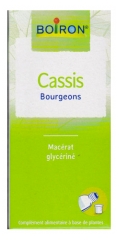 Boiron Extrait de Plantes Cassis