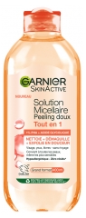 Garnier SkinActive Solution Micellaire Peeling Doux Visage Yeux et L&egrave;vres 400 ml