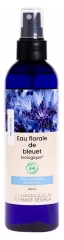 Laboratoire du Haut-S&eacute;gala Eau Florale de Bleuet Apaisante Bio 250 ml