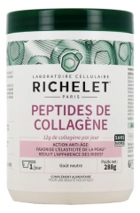 Richelet Peptides de Collag&egrave;ne 288 Grammes