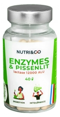 Nutri&Co Enzymes & Pissenlit 40 Unit&eacute;s