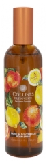 Collines de Provence Fra&icirc;cheur V&eacute;g&eacute;tale Parfum pour Int&eacute;rieur de 100 ML