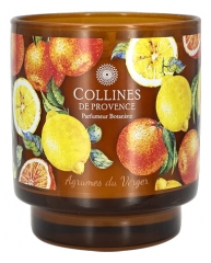 Collines de Provence Fra&icirc;cheur V&eacute;g&eacute;tale Bougie 220 Grammes