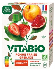 Vitabio Pomme Grenade Fraise Bio 4 Gourdes de 100 g