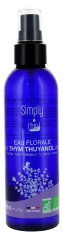Simply Bio Eau Florale de Thym Thuyanol Bio Flacon Vaporisateur 200 ml