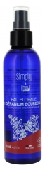 Simply Bio Eau Florale G&eacute;ranium Bio Flacon Vaporisateur 200 ml