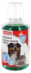 Beaphar Solution Haleine Fra&icirc;che Chien et Chat 250 ML