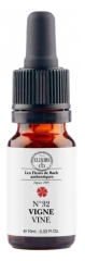 Elixirs & Co Elixirs De Bach Vigne N&deg;32 Bio 10 ml