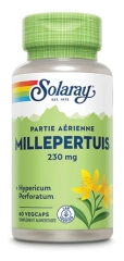 Solaray Millepertuis 230 mg 60 Unit&eacute;s