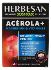 Herbesan Ac&eacute;rola + Magn&eacute;sium + Vitamines 30 Unit&eacute;s