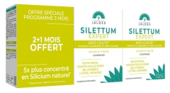 Jaldes Silettum Expert Anti Chute - Boite de 180