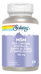 Solaray MSM 750 mg 90 Unit&eacute;s
