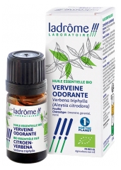 Ladr&ocirc;me Huile Essentielle Verveine Ordorante (Aloysia Citrodora) Biologique 5 ML