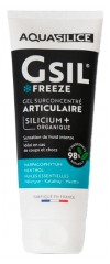 Aquasilice Gsil Freeze Gel Articulaire Surconcentr&eacute; 50 ml