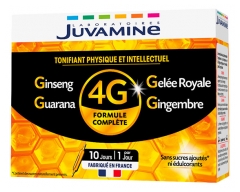 Juvamine Promesse Tonus 4G Ginseng Gel&eacute;e Royale Guarana Gingembre 10 Ampoules