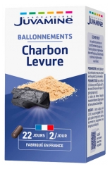 Juvamine Charbon Levure 45 Unit&eacute;s
