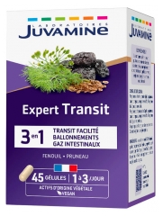 Juvamine Expert Transit 45 Unit&eacute;s
