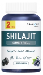 Granions Shilajit 800 mg 60 Unit&eacute;s