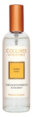 Collines de Provence Fleurs & &Eacute;corces Parfum d'Int&eacute;rieur de 100 ML