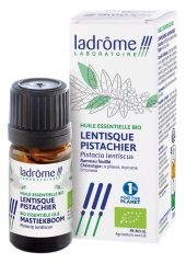 Ladr&ocirc;me Huile Essentielle Lentisque Pistachier Bio 5 ml