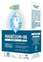 Sant&eacute; Verte Magn&eacute;sium + B6 60 Unit&eacute;s S&eacute;cables