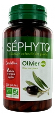 S&eacute;phyto Olivier Bio 200 G&eacute;lules