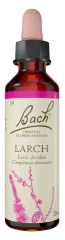 Fleurs de Bach Original Fleurs de Bach&reg; Original Larch / M&eacute;l&egrave;ze / Larix Decidua