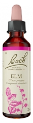 Fleurs de Bach Original Fleurs de Bach&reg; Original Elm / Orme / Ulmus Procera