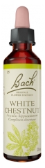Fleurs de Bach Original Fleurs de Bach&reg; Original White Chestnut / Marronnier Blanc / Aesculus Hippocastanum