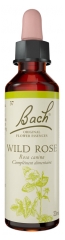 Fleurs de Bach Original Fleurs de Bach&reg; Original Wild Rose / &Eacute;glantier / Rosa Canina