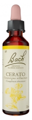 Fleurs de Bach Original Fleurs de Bach&reg; Original Cerato / Plumbago / Ceratostigma Willmottiana