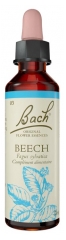 Fleurs de Bach Original Fleurs de Bach&reg; Original Beech / H&ecirc;tre / Fagus Silvatica