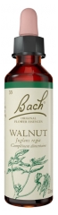 Fleurs de Bach Original Fleurs de Bach&reg; Original Walnut / Noyer / Juglans Regia
