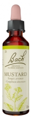 Fleurs de Bach Original Fleurs de Bach&reg; Original Mustard / Moutarde / Sinapis Arvensis