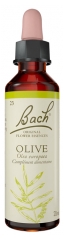 Fleurs de Bach Original Fleurs de Bach&reg; Original Olive / Olivier / Olea Europaea