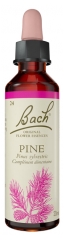 Fleurs de Bach Original Fleurs de Bach&reg; Original Pine / Pin Sylvestre / Pinus Sylvestris
