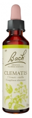 Fleurs de Bach Original Fleurs de Bach&reg; Original Clematis / Cl&eacute;matite / Clematis Vitalba