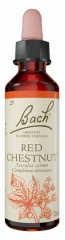 Fleurs de Bach Original Fleurs de Bach&reg; Original Red Chestnut / Marronnier Rouge / Aesculus Carnea