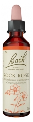Fleurs de Bach Original Fleurs de Bach&reg; Original Rock Rose / H&eacute;lianth&egrave;me / Helianthemum Nummularium