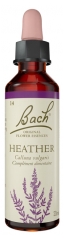 Fleurs de Bach Original Fleurs de Bach&reg; Original Heather / Bruy&egrave;re / Calluna Vulgaris