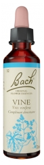 Fleurs de Bach Original Fleurs de Bach&reg; Original Vine / Vigne / Vitis Vinifera