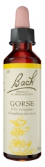 Fleurs de Bach Original Fleurs de Bach&reg; Original Gorse / Ajonc / Ulex Europaeus