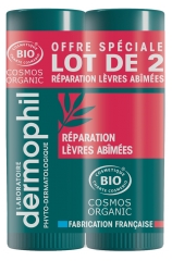 Dermophil Certifi&eacute; Bio Lot de 2 Sticks L&egrave;vres R&eacute;paration L&egrave;vres Ab&icirc;m&eacute;es 4 g (Anc. R&eacute;paration Forte)