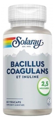 Solaray Bacillus Coagulans et Inuline 2,5 Milliards 60 Capsules
