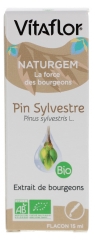 Vitaflor Extrait de Bourgeon - Pin Bio - 15 ml