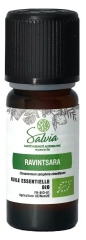 Salvia Nutrition Huile Essentielle Ravintsara Biologique 10 ML