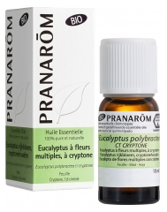 Pranar&ocirc;m Eucalyptus a Fl. Multiples a Cryptone Feuille Bio (Eco) 10 ml