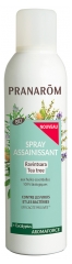 Pranar&ocirc;m Aromaforce Spray Assainissant Ravintsara/Tea-Tree Bio (Eco) 150 ml